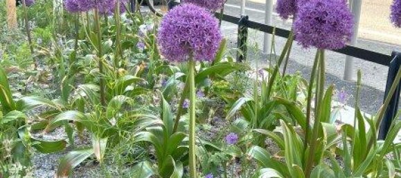 استوديو في Favoriten, Austria رقم 245038 10