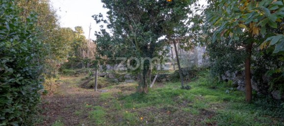 3 Schlafzimmer Haus in Mesao Frio, Portugal, Nr. 39266 13