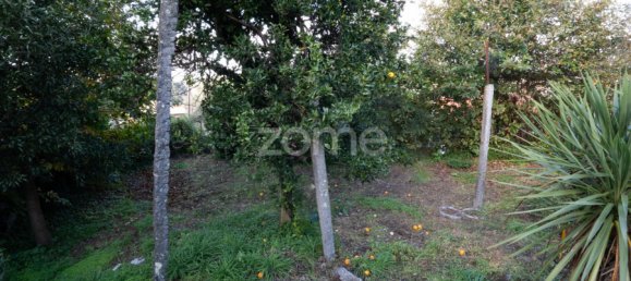 3 Schlafzimmer Haus in Mesao Frio, Portugal, Nr. 39266 12