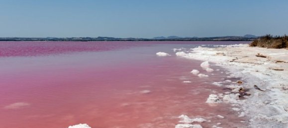 2 bedrooms Bungalow in Torrevieja, Spain No. 178465 27