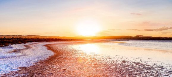 2 bedrooms Bungalow in Torrevieja, Spain No. 178465 29