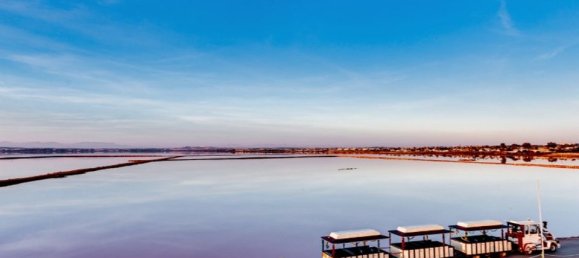 2 bedrooms Bungalow in Torrevieja, Spain No. 178465 28