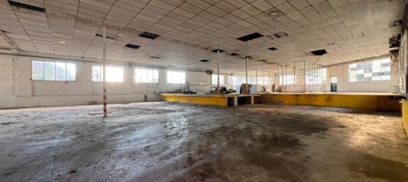 4500m² Commercial property in Genoa, Italy No. 306864 7