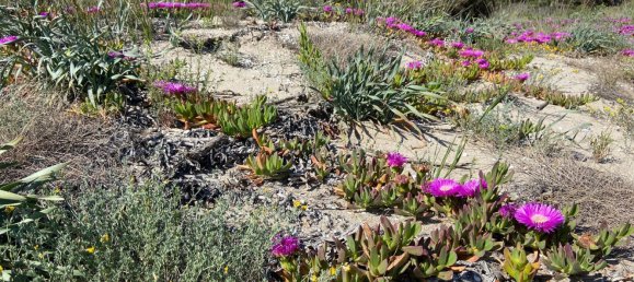 3 rooms Apartment in Valledoria, Italy No. 124821 27