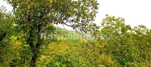 2 bedrooms Apartment in Alto Reno Terme, Italy No. 326233 29