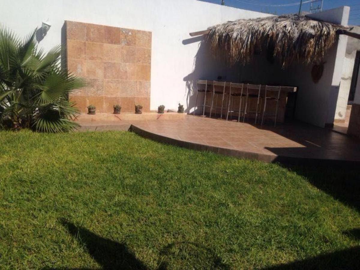 3 bedrooms House in Playa Vicente, Mexico No. 175940