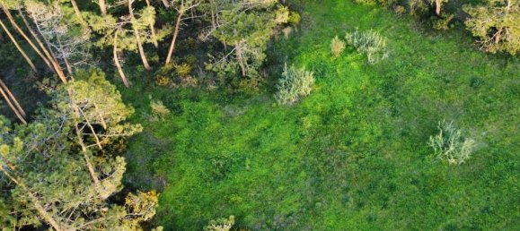  قطعة أرض في Sesimbra, Portugal 6053متر مربع رقم 137907 14