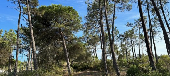  قطعة أرض في Sesimbra, Portugal 6053متر مربع رقم 137907 10