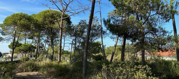  قطعة أرض في Sesimbra, Portugal 6053متر مربع رقم 137907 9