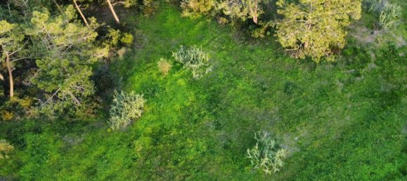  قطعة أرض في Sesimbra, Portugal 6053متر مربع رقم 137907 15