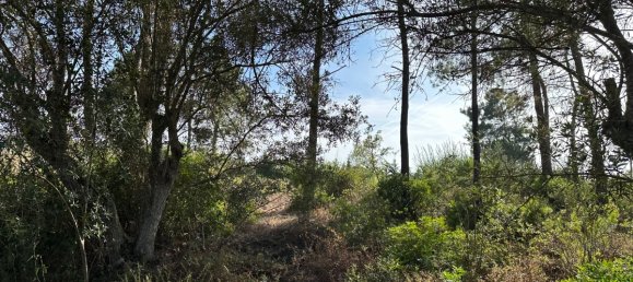  قطعة أرض في Sesimbra, Portugal 6053متر مربع رقم 137907 8