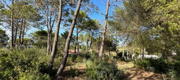  قطعة أرض في Sesimbra, Portugal 6053متر مربع رقم 137907 5