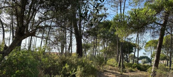  قطعة أرض في Sesimbra, Portugal 6053متر مربع رقم 137907 7