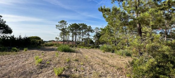  قطعة أرض في Sesimbra, Portugal 6053متر مربع رقم 137907 2