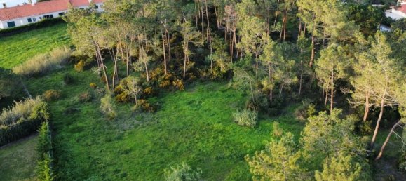  قطعة أرض في Sesimbra, Portugal 6053متر مربع رقم 137907 17