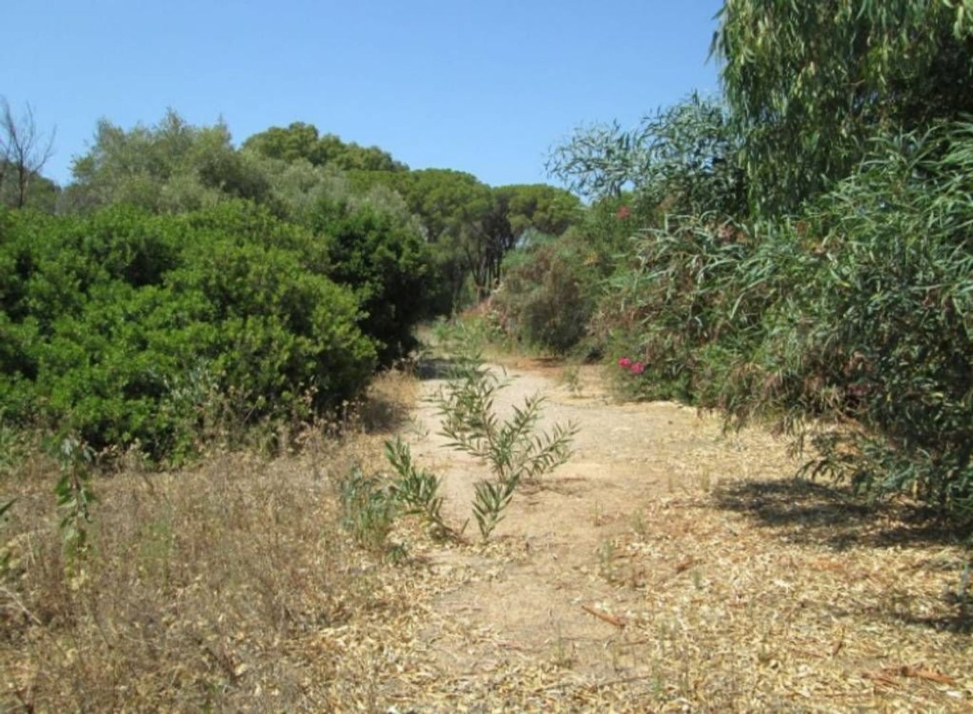 Grundstück in Pula, Italy 16070m², Nr. 379189