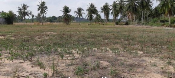 10494m² Commercial property in Bang Lamung, Thailand No. 15835 6