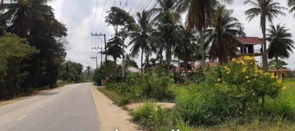 10494m² Commercial property in Bang Lamung, Thailand No. 15835 2