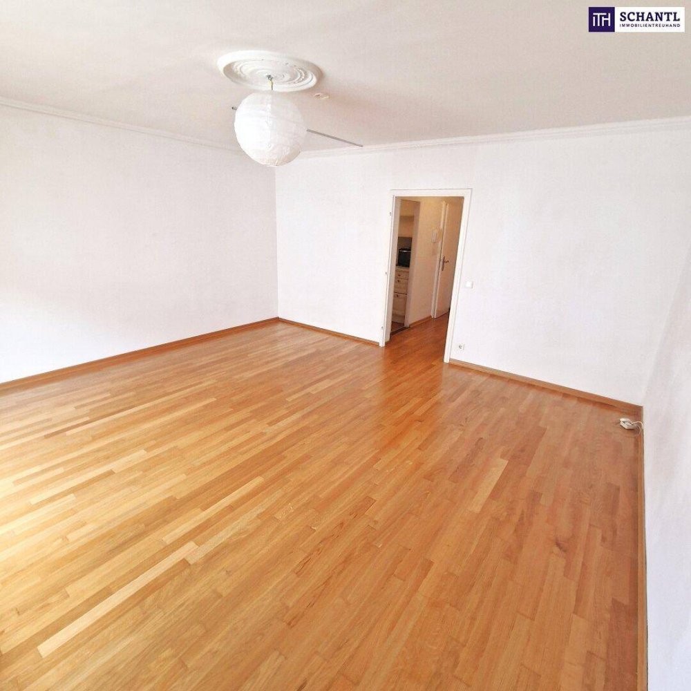 1 room Commercial property in Neubau, Austria No. 179916