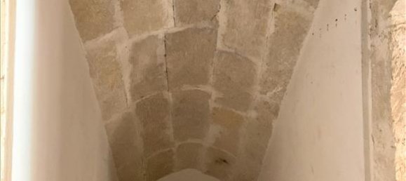 Propriété commerciale à Magnesia, Greece 219m² No. 4042 8