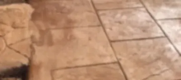 3 chambres Maison à Valencia, Spain No. 76274 14