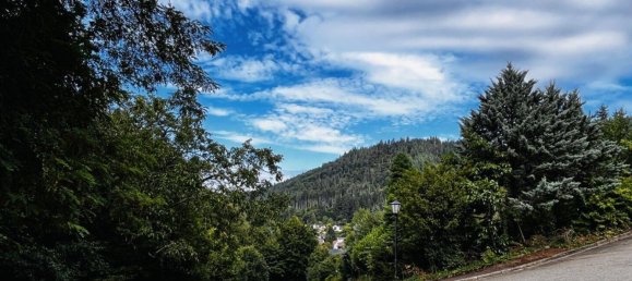  قطعة أرض في Breisgau-Hochschwarzwald, Germany رقم 291221 5