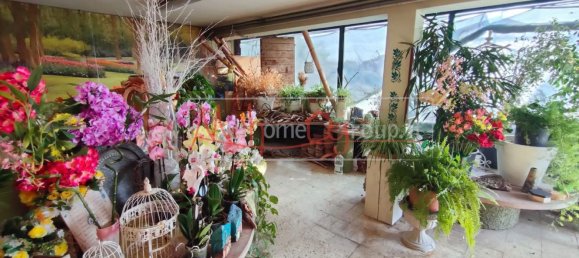 7 rooms House in Padua, Italy No. 215788 19