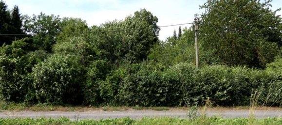 قطعة أرض في Mansfeld-Sudharz, Germany رقم 253475 3