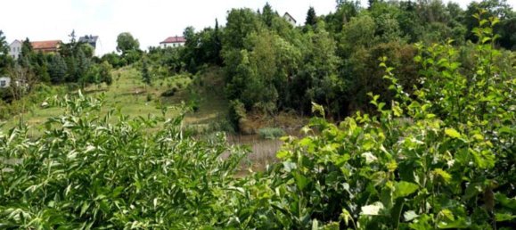 قطعة أرض في Mansfeld-Sudharz, Germany رقم 253475 18