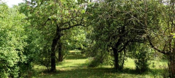 قطعة أرض في Mansfeld-Sudharz, Germany رقم 253475 15