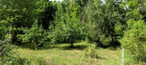 قطعة أرض في Mansfeld-Sudharz, Germany رقم 253475 10