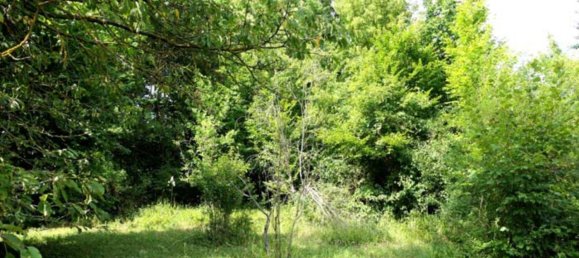 قطعة أرض في Mansfeld-Sudharz, Germany رقم 253475 13