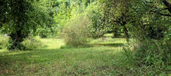 قطعة أرض في Mansfeld-Sudharz, Germany رقم 253475 20