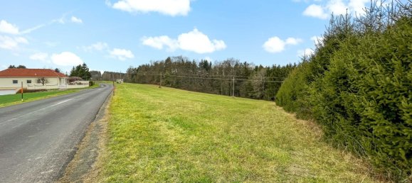 Terreno en German Kaltenbrunn, Austria 10956 m² No. 129706 18