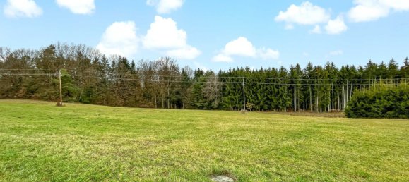 Terreno en German Kaltenbrunn, Austria 10956 m² No. 129706 16