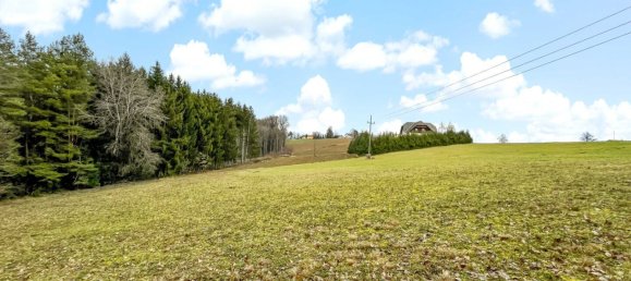 Terreno en German Kaltenbrunn, Austria 10956 m² No. 129706 7