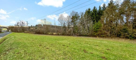 Terreno en German Kaltenbrunn, Austria 10956 m² No. 129706 14