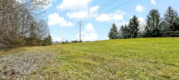 Terreno en German Kaltenbrunn, Austria 10956 m² No. 129706 11