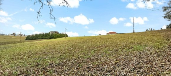 Terreno en German Kaltenbrunn, Austria 10956 m² No. 129706 6