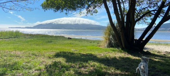 3 Schlafzimmer Villa in Seixas, Portugal, Nr. 55159 7