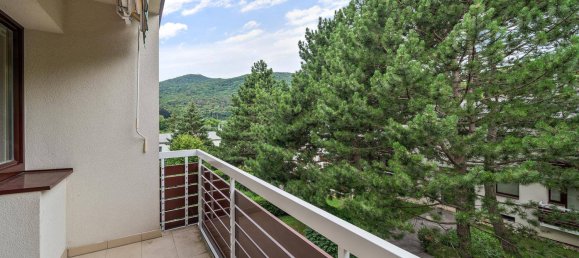 3 bedrooms Apartment in Hinterbruhl, Austria No. 216899 12