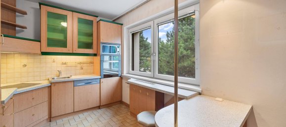 3 bedrooms Apartment in Hinterbruhl, Austria No. 216899 4