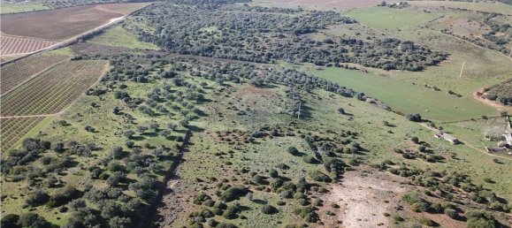 Terreno en Albufeira, Portugal 482390 m² No. 71226 3