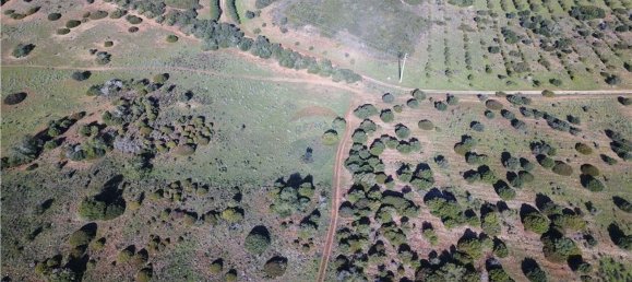 Terreno en Albufeira, Portugal 482390 m² No. 71226 5