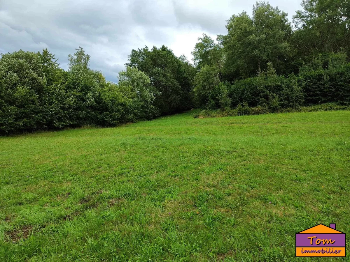 10860m² Land in Volmunster, France No. 89056