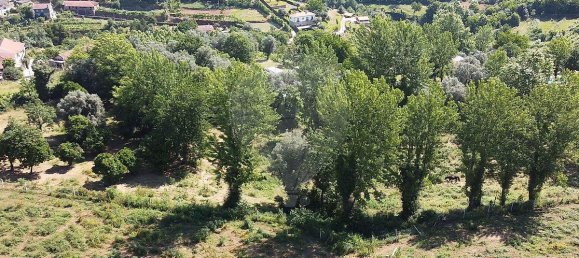 3 bedrooms House in Cabeceiras de Basto, Portugal No. 182204 3