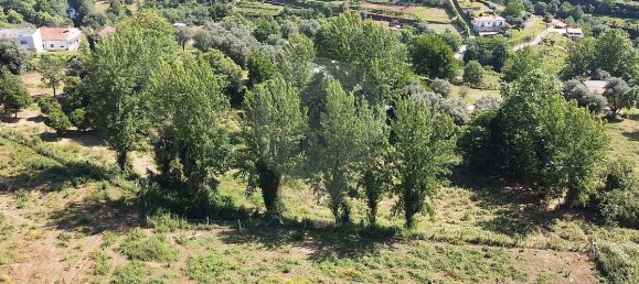 3 bedrooms House in Cabeceiras de Basto, Portugal No. 182204 4