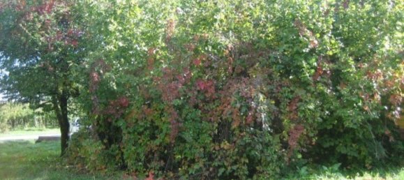 6 rooms House in Soliera, Italy No. 224590 6