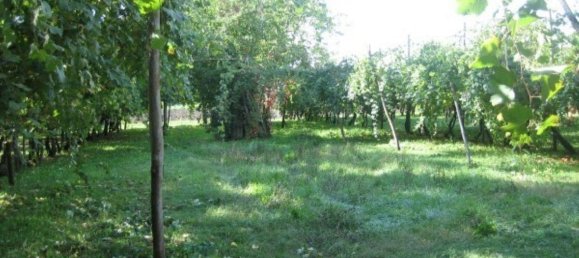 6 rooms House in Soliera, Italy No. 224590 7