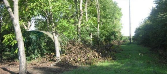 6 rooms House in Soliera, Italy No. 224590 9